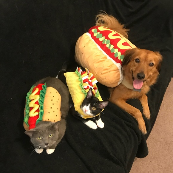 Meet your Posher, Nia! - Picture 2 of 4